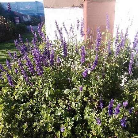 Coco De Mer Self Catering Log 1 Lambertʼs Bay Εξωτερικό φωτογραφία